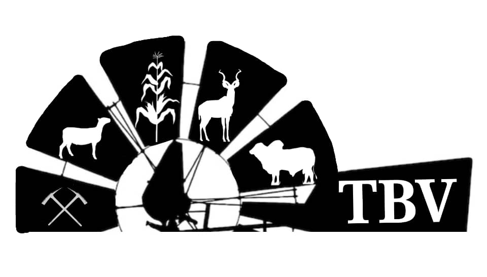 TBV Logo